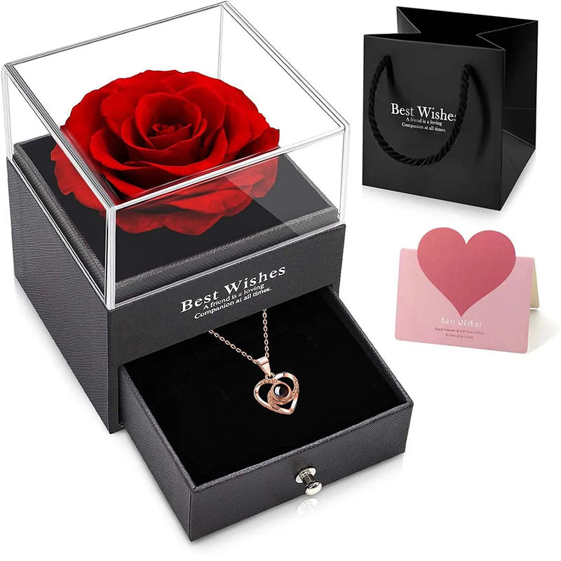 Conjunto de Colar Feminino em Zircônia Vazada com Rosa